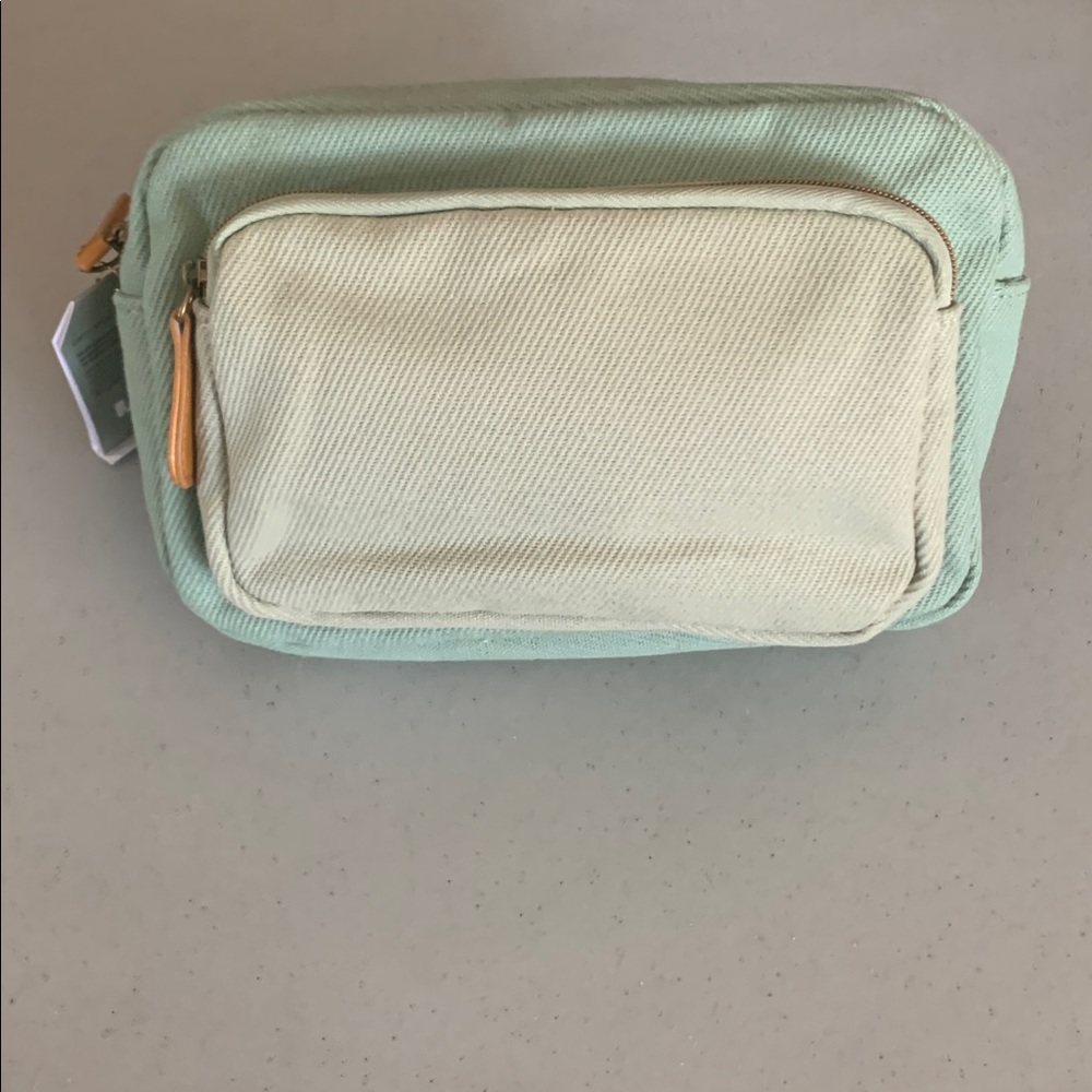Saje Mint and Cream Crossbody Bag